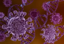 Apa Itu Hantavirus? Kenali Gejala, Penyebab, dan Cara Penularannya