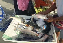Pedagang Basah Diminta Kembali ke Pasar Yamaker