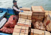 Produk Tumbuhan yang Beredar di Nunukan 80 Persen dari Sulawesi Selatan