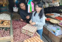 HargaTelur Ayam Turun sementara Bawang Merah Stabil