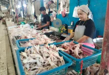 Pedagang di Pasar Yamaker Nunukan Siapkan Tiga Ribu Ekor Ayam jelang Iduladha 2026