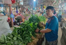 Harga Bayam Anjlok, Jagung dan Sawi Melonjak akibat Cuaca