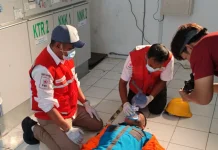 PMI Nunukan Latih Petugas PLN Tangani Darurat Kecelakaan Listrik