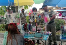 Verifikasi Lapangan Data Pedagang Alun-Alun Nunukan Membengkak