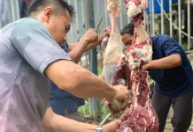Lapas Kelas IIB Nunukan Terima Hewan Qurban Sebanyak Tiga Ekor Sapi