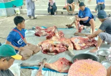 Tips Memasak Daging Kambing agar Empuk dengan Aroma yang Tidak Menyengat