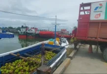 Pertamina Siap Salurkan Gas Melon ke Wilayah Empat Daratan Kalimantan Tahun Ini