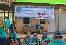 Saling Berbagi, Paguyuban Joglosemar Nunukan Gelar Penyembelihan Hewan Kurban
