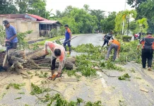 Polres Nunukan Apresiasi Sinergi Penanganan Pohon Tumbang