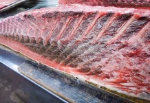 Mengapa Bagian Tertentu Ikan Tuna Harus Dikonsumsi secara Terkontrol