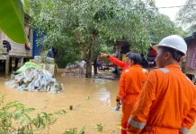 Banjir Landa Tanjung Harapan, BPBD Bergerak Cepat