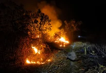 BPBD Petakan Seluruh Kecamatan Rawan Karhutla, Warga Diminta Tidak Bakar Lahan