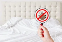 Tips Ampuh Cegah Kutu Kasur di Sofa dan Kasur