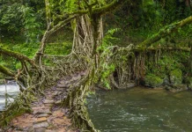 Mawlynnong Desa Terbersih di Asia yang Dijuluki Taman Milik Tuhan