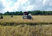Brigade Pangan Nunukan Memasuki Musim Tanam dua setelah Berhasil di Musim Pertama