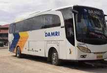 Dishub Buka Trayek Baru Damri Perintis Bambangan-Aji Kuning