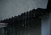 Petrichor : Aroma Khas Hujan akibat Reaksi Bakteri