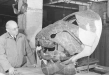 Dunkleosteus: Sang Penguasa Berperisai dari Lautan Purba