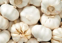 Manfaat Bawang Putih untuk Wasir