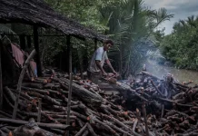 Menilik Alasan di Balik Tingginya Target Penebangan Kayu Bakau