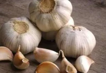 Bawang Putih Kaya Khasiat Alami Menjaga Kesehatan Tubuh Sehari Hari