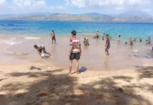 Haikal Akbar Terpesona Keindahan Pantai Nobo Wera Mea Adonara