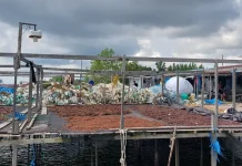 Harga Naik, Produksi Rumput Laut Terkendala Hama Tiram