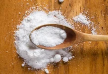 Seimbangkan Konsumsi Garam Demi Cegah Penyakit Tidak Menular