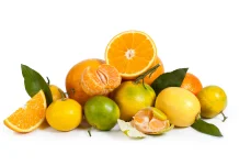 Buah Sitrus Kaya Vitamin C Dukung Kesehatan Tubuh Secara Optimal