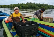 Cuaca Ektrem, Penghasilan Nelayan Menurun 30 Persen