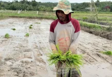 Kodim Nunukan Perkuat Swasembada Pangan Bersama Petani Perbatasan