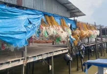 Pelampung Rumput Laut di Nunukan Akan Diganti, Tekan Sampah Plastik di Laut