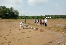 KelompokTani Maju Mandiri Sejahtera di Desa Binusan Tanam Padi Bersama