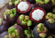 Manfaat Buah Manggis
