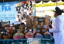 Tinjau Stand UMKM Mansalong, Wabup Hermanus Janjikan Mesin Produksi