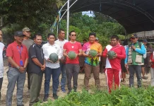 Bupati Dorong Petani Selisun Maksimalkan Lahan Hortikultura