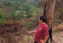 Kabut Asap Ganggu Aktivitas Warga, DPRD Kaltara Minta Penanganan Karhutla