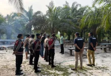 Polisi Tindaklanjuti Laporan Warga Soal Sabung Ayam
