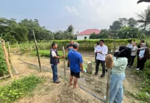 DKPP Kabupaten Nunukan akan Membentuk Kampung Holtikultura