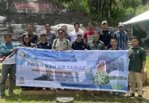 Pakan Mahal, Pembudidaya Ikan Krayan Mulai Beralih ke Maggot dan Lemna