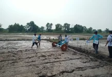 Petani di Kelurahan Mansapa Mulai Menggunakan Alat Pertanian Modern