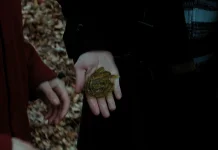 7 Tanaman Paling Berbahaya di Dunia Harry Potter