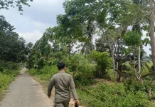 Warga Desa Seberang Pertanyakan Status Lahan setelah Patok Bergeser