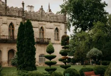 Mengenal Topiary, Seni Memangkas Tanaman Menjadi Karya Seni yang Indah