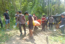 Mayat Mr X Ditemukan di Pondok Hutan Jalan Lingkar