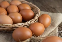 Telur Kaya Nutrisi, Bermanfaat Mendukung Kesehatan Tubuh Sehari-hari