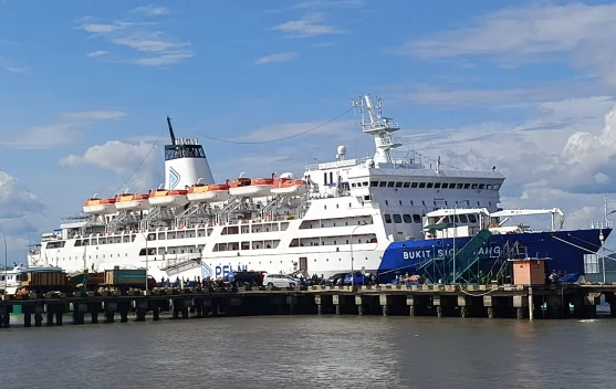 Pelni Ajukan Dispensasi Tambahan Kapasitas Mudik