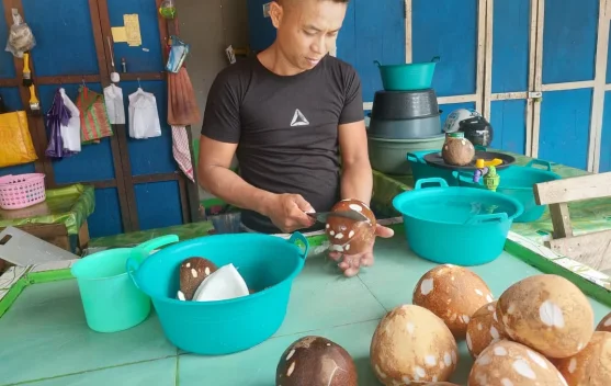 Jelang Lebaran, Harga Kelapa di Nunukan Tembus Rp15.000