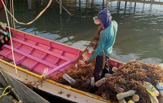Pelaku Usaha Rumput Laut Manfaatkan Kredit untuk Tambah Modal