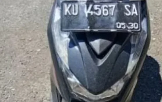Begini Cara Mengikuti Lelang Barang Sitaan Serentak Kejaksaan Negeri Nunukan